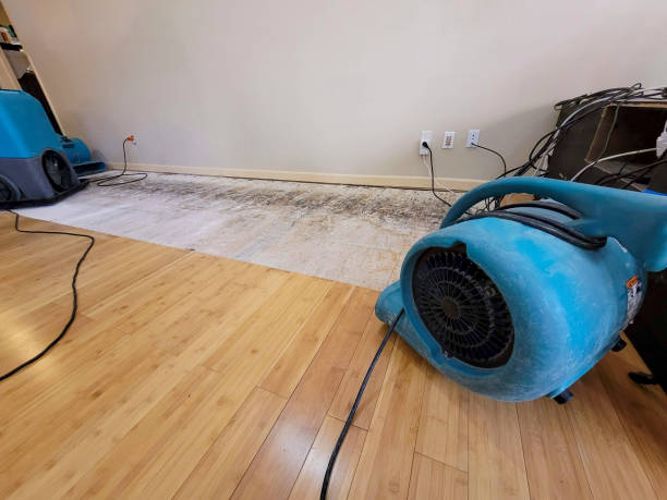 Professional Water Extraction technician working in Saint Clair Shores, MI